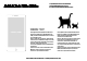 캣츠 고양이 컨셉 배경 PPT 파워포인트 템플릿 (by 아기팡다)   (4 )
